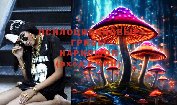 МДПВ Белокуриха